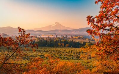 Fall Color Road Trips Guide