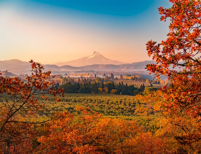 fall colors mount hood view and drive