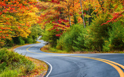 Beautiful Drives to Take in the Fall in Washington and Oregon