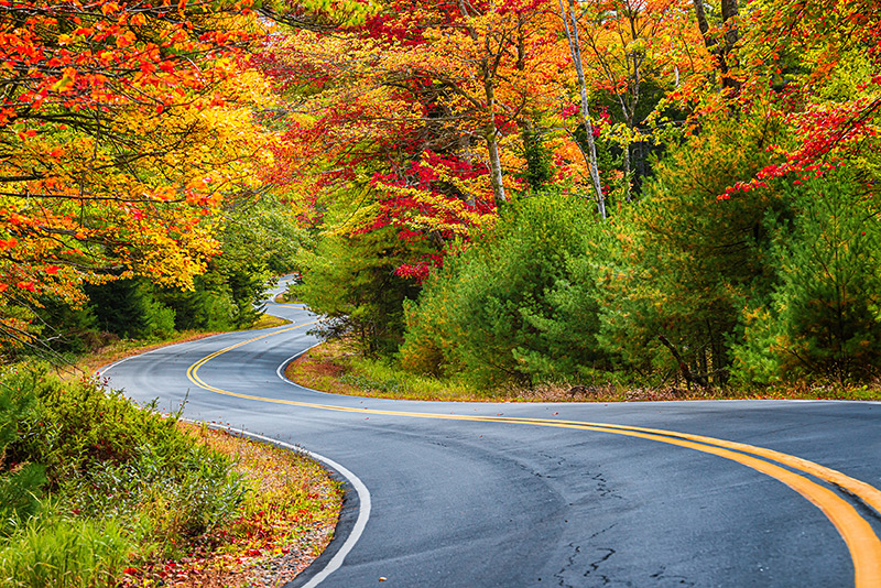 Fall Drives In Washington Oregon